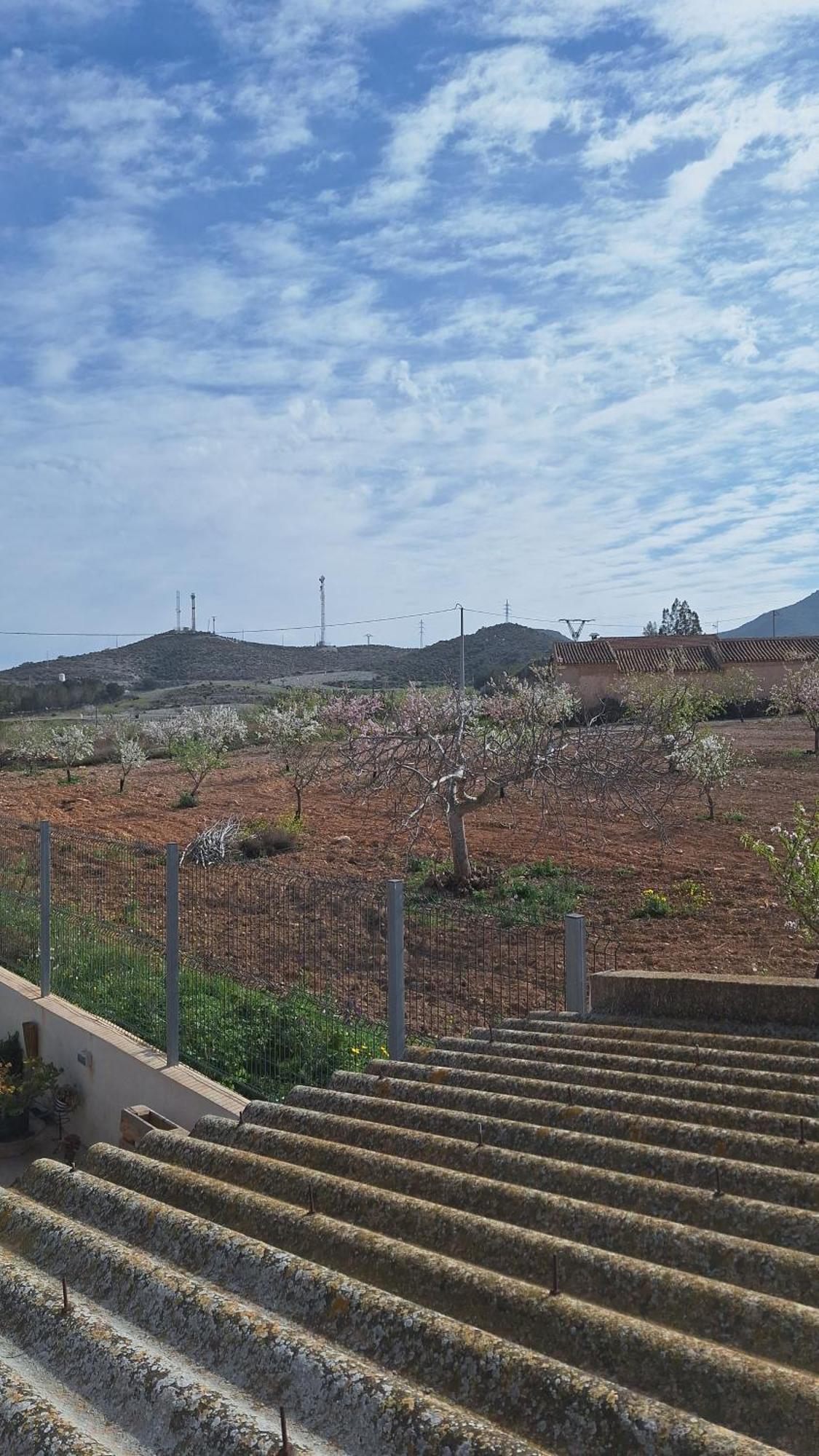 קרטחנה Casa De Campo En Tallante מראה חיצוני תמונה